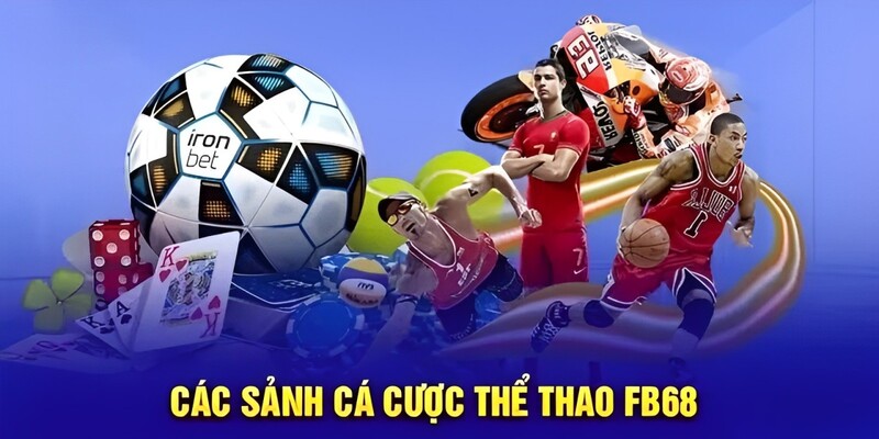 Khám phá các sảnh cược thể thao độc đáo của nhà cái FB68