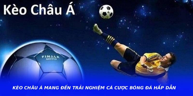 Kèo Châu Á Mang Đến Trải Nghiệm Cá Cược Bóng Đá Hấp Dẫn